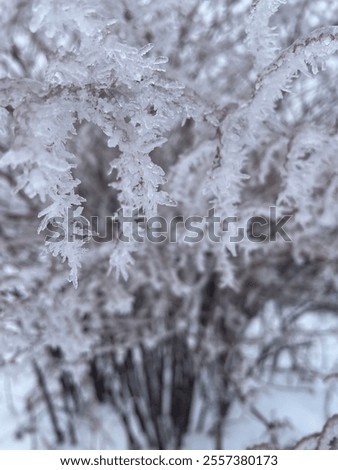 Similar – Image, Stock Photo Small ice floes on the Hohenzollern Canal