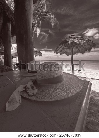 Similar – Image, Stock Photo two straw beach umbrellas on an empty seashore on a clear day