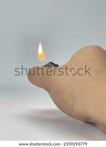 Similar – Image, Stock Photo contrast | small fire butterfly enjoying the sun on a white umbel flower