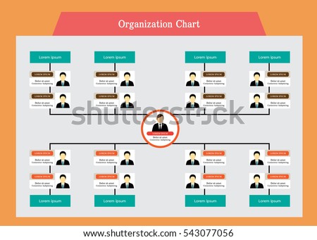 organization chart business structure download free vector art organization charts