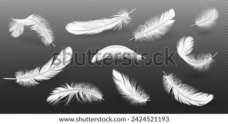 Similar – Image, Stock Photo Birds of a feather birds