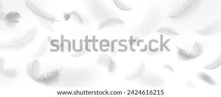 Flying plumage pattern realistic vector illustration. Floating quills. Weightless bird feathers 3d design elements on white background