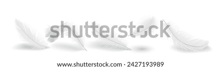 Bird feather shapes group realistic vector illustration set. Flying plumage with messy texture. Fluffy white quills 3d elements on white background