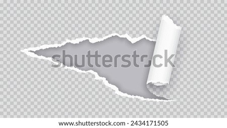 Torn paper rolled strip over grey realistic vector illustration. Teared page. Destroyed document sheet 3d object on transparent background