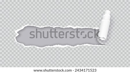 Torn paper rolled strip over grey realistic vector illustration. Teared page. Destroyed document sheet 3d object on transparent background