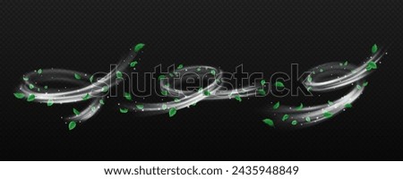 Silver dust and leaves whirls realistic vector illustration set. Fairy flows with foliage and sparkles 3d elements on transparent background