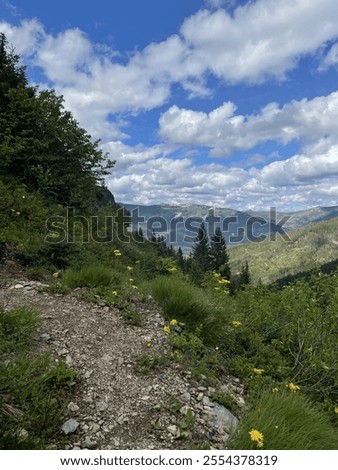 Similar – Image, Stock Photo Schwarzhorn from the south