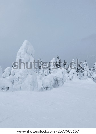 Similar – Image, Stock Photo Vertical photo of frozen pathway in the park between trees near frozen river during early spring when all are still grey, but snow is smelted.