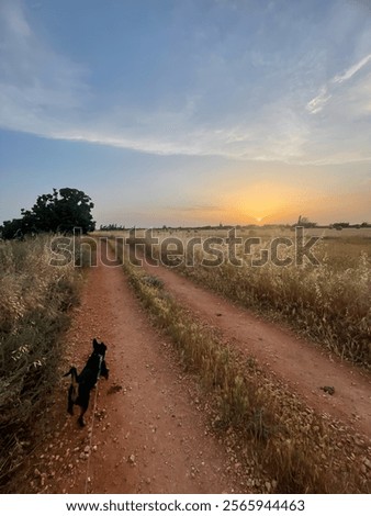 Similar – Foto Bild spaziergang Landwirtschaft