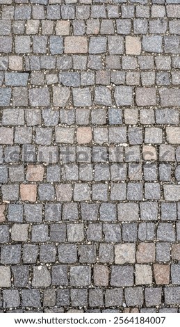 Similar – Image, Stock Photo Cobbled Rural Road in Andalusia Countryside, Spain