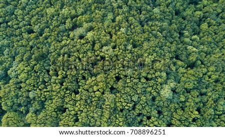 Similar – Image, Stock Photo Aerial View Of Deciduous Trees Without Foliage Leaves In Landscape At Early Spring. Top Flat View From High Attitude. Natural Backdrop Background Of European Woods And Their Shadows. Drone View