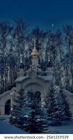 Similar – Image, Stock Photo Small golden fir tree stands on an open book. Christmas.