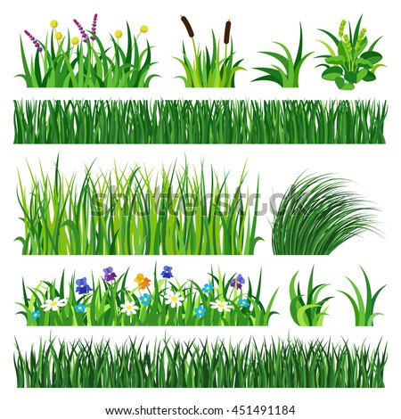 Green grass showing roots vector illustration isolated on white background. Summer natural  grassy green elements