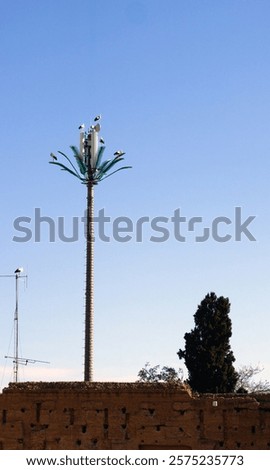 Similar – Image, Stock Photo a stork sits in the snowy eyrie