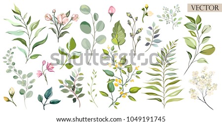 Vector Big Set botanic elements - wildflowers, herbs, leaf. collection garden and wild foliage, flowers, branches.  illustration isolated on white background, eucalyptus, exotic, tropical plants