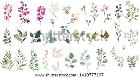 Set of floral elements. Flower and green leaves. Wedding concept - flowers. Floral poster, invite. Vector arrangements for greeting card or invitation design Photo stock © 