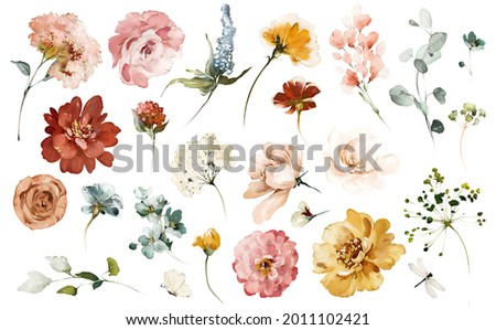 Set watercolor elements of roses collection garden yellow, burgundy flowers, leaves, branches, Botanic  illustration isolated on white background.  