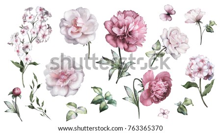 Similar – Foto Bild Wunderschöne rosa-weiße Pfingstrosenblüten auf hellem Hintergrund mit Platz für Text. Postkarte, Gruß, Geschenk. Seitenansicht