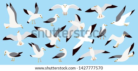 Seagulls flying in blue sky, cartoon atlantic seabird. Sea, Ocean, Gull, bird set in a vector flat style. Big oceangull pack isolated on sky background Stock foto © 