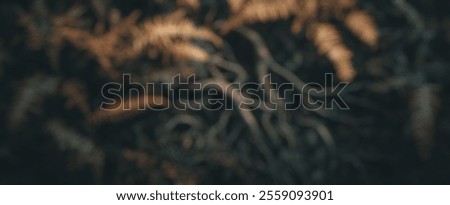 Similar – Image, Stock Photo wild fern Harmonious Calm