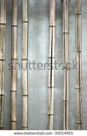 zen bamboo background