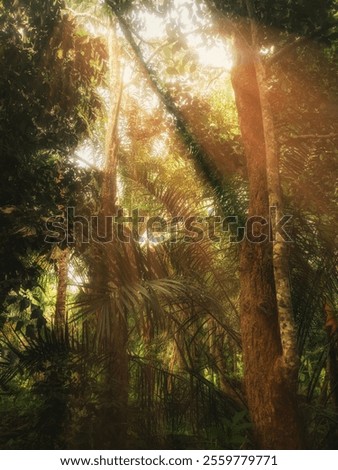 Similar – Image, Stock Photo sometimes there are no words…