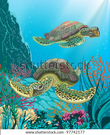 Illustration Of Two Sea Turtles Swimming Underwater - 97742177 ...