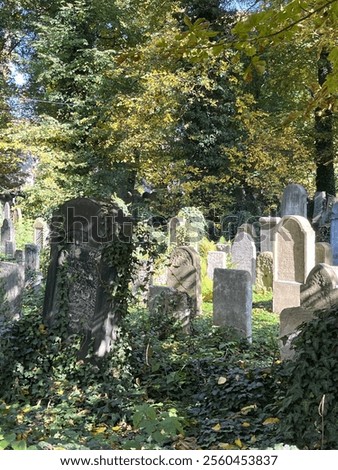 Similar – Image, Stock Photo Jewish tombstone Autumn