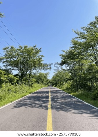 Similar – Foto Bild Gerade Straße in einer Allee von trockenen Bäumen ohne Blätter im Winter / Anfang Frühling Luftaufnahme