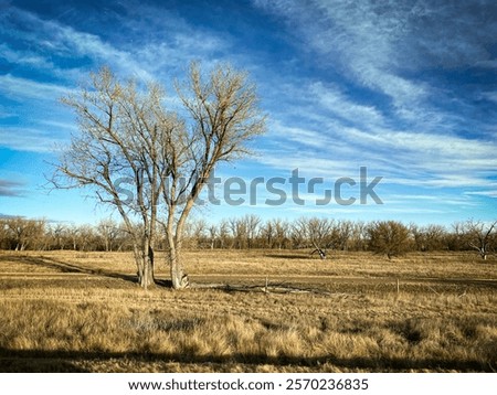 Similar – Image, Stock Photo Foreground of a dead stick, with a defocused bacground of a woman posing