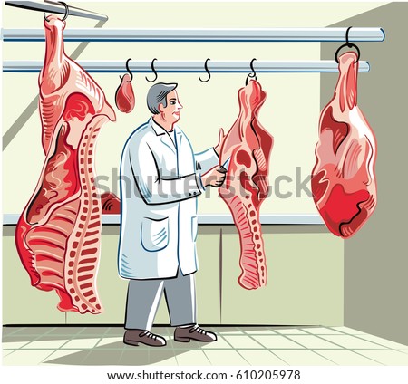 Butcher in a slaughterhouse, divides a side of beef in pieces of meat.