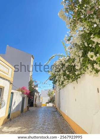 Similar – Image, Stock Photo Summery street from the frog’s eye view. On the horizon trees in sunlight and blue sky with a few clouds.