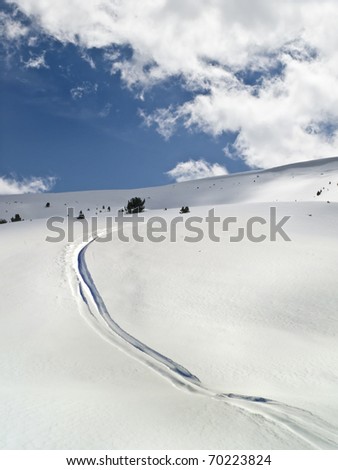 Drawing of a curved line on a slope of virgin snow by a skier