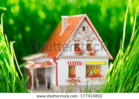 House in spring green grass. Real estate concept