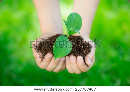 Young green plant in hands against beautiful spring blurred background. Holiday Earth day concept