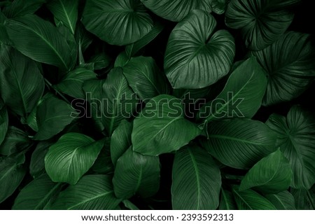 Similar – Image, Stock Photo Natural background with leaf at green backdrop. Close up