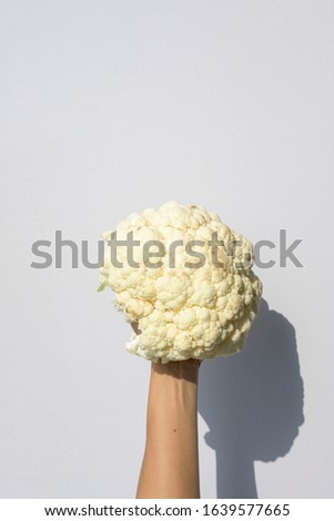 Similar – Image, Stock Photo Hand holding a cauliflower against a neutral background. Healthy food.