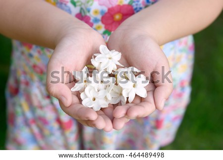 https://image.shutterstock.com/display_pic_with_logo/4493872/464489498/stock-photo-asian-girl-hands-holding-white-jasmine-flowers-this-flower-is-symbol-of-thailand-mother-s-day-464489498.jpg