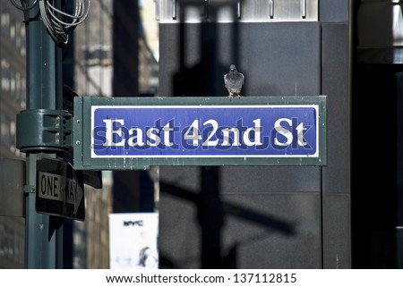 A classic New York City street sign with a pigeon sitting on it.