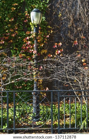 An old gate and lamp post in New York City on a sunny Autumn afternoon.