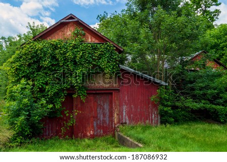 Overgrown vines on a deserted barn in rural Sussex County New Jersey.