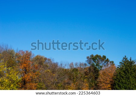 Blue sky and colorful Autumn foliage along the tree line of Washington Crossing State Park in New Jersey.
