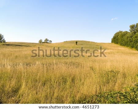 A gentle sloping grassy hill on a sunny Summer afternoon in north western New Jersey.