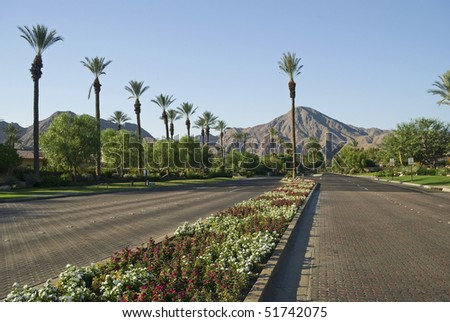 Rows of Palm trees, mountains, flowers, blue skies and open roads in Indian Wells, California near Palm Springs.