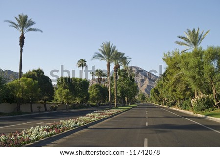 Rows of Palm trees, mountains, flowers, blue skies and open roads in Indian Wells, California near Palm Springs.