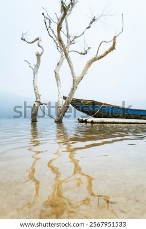 Similar – Image, Stock Photo Still resting fishing boats