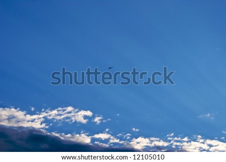 a seagull flies high in the sky as the suns rays light up the sky from behind the clouds
