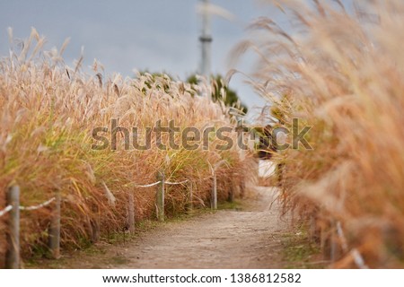 Shutterstock Puzzlepix