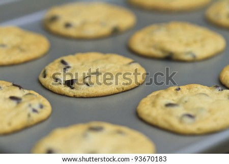 freshly baked cookies on a baking tray, home baked