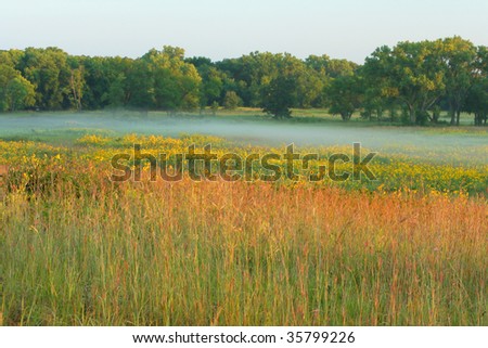 tall grass prairie; misty dawn at Homestead National Monument of America, Beatrice, Nebraska